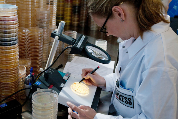 Lanxess adquiere por 1.300 millones de dólares el control microbiano de IFF