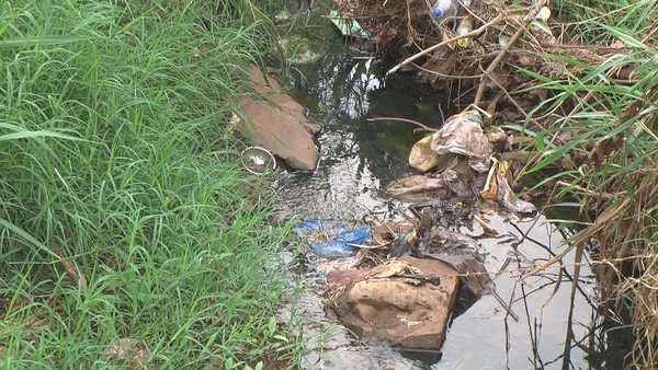 JULIA FERREIRA AUTORIZA A STOCK CONTAMINAR UN ARROYO DE FRANCO - La Voz del Norte