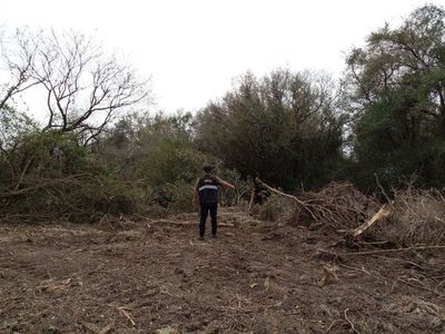 Intervienen desmonte en las inmediaciones del arroyo Mbaey de Paraguarí - Nacionales - ABC Color