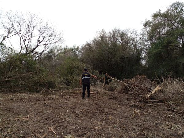 Intervienen desmonte en las inmediaciones del arroyo Mbaey de Paraguarí - Nacionales - ABC Color