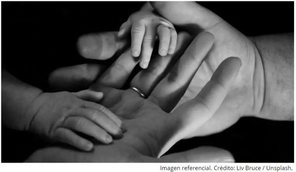 Apoyemos la vocación matrimonial pues “la familia es todo lo que tenemos”, dice obispo
