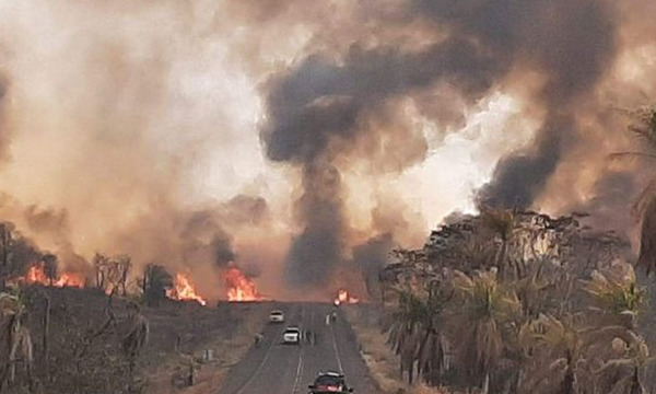 Cerro Corá: Denuncian que personas vinculadas al narcotráfico están detrás del incendio - OviedoPress