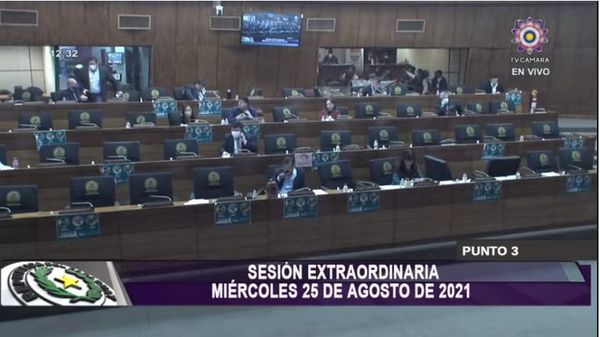 Diputados sancionó la ley de consolidación económica - Nacionales - ABC Color