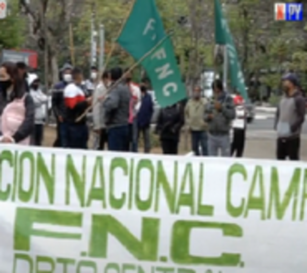 Campesinos marchan y denuncian la desidia a la pequeña producción - Paraguay.com