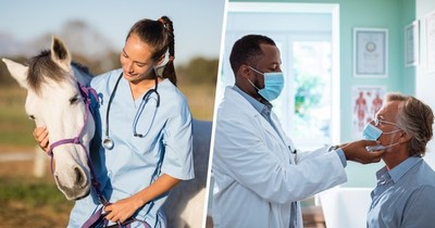 La Nación / FDA contra ivermectina: “No eres un caballo o una vaca, deténte”
