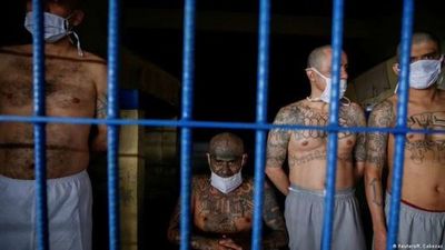 Ernesto Castro: Gobierno de El Salvador nunca ha negociado con pandillas