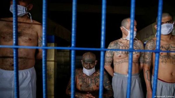 Ernesto Castro: Gobierno de El Salvador nunca ha negociado con pandillas