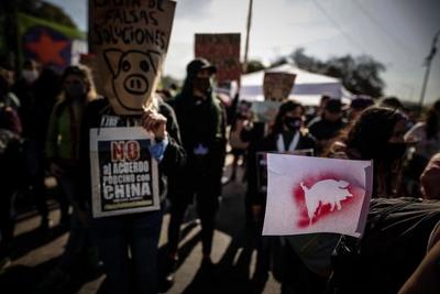 Ambientalistas protestan contra el pacto porcino que negocian Argentina y China - MarketData