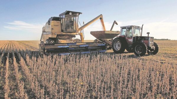 Destacan a la soja paraguaya como una de las más proteicas del mundo