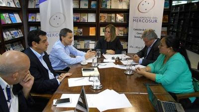 Diputados aprueban dejar sin efecto elecciones del Parlasur para el 2023 - Nacionales - ABC Color