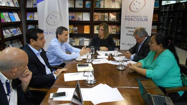 Diputados aprueban dejar sin efecto elecciones del Parlasur para el 2023 - Nacionales - ABC Color