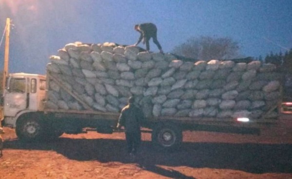 Incautan camión con carga de carbón