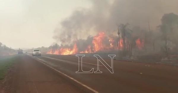 La Nación / Familias se niegan a salir de Lorito Picada