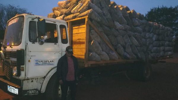Detienen a chofer con alrededor de 5.000 kilos de carbón en Itakyry