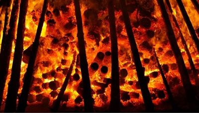 #PorLosBosques: sin declarar emergencia nacional los costos aumentarán y los efectos serán irreversibles