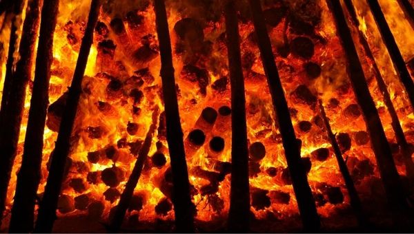 #PorLosBosques: sin declarar emergencia nacional los costos aumentarán y los efectos serán irreversibles