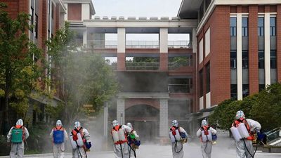 Investigación sobre origen del Covid está estancada, alertan científicos