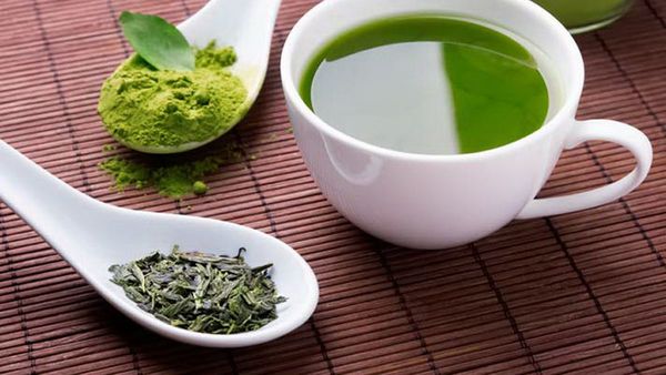 El té verde, el más antiguo del mundo, posee grandes beneficios para la salud