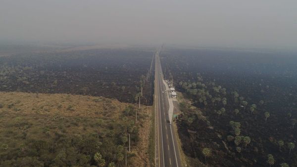 Senado insta al Ejecutivo a declarar emergencia nacional por incendios