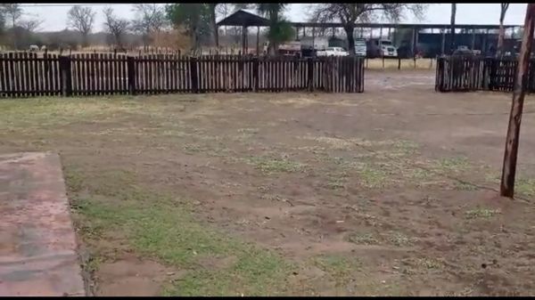 Lluvia dio la estocada final a la “Bestia 21” en el Alto Paraguay - Nacionales - ABC Color