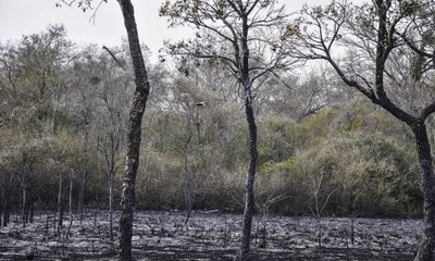 Se reportaron solo 12 focos de calor en las últimas 12 horas - OviedoPress