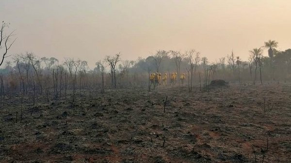 Senado insta a declarar emergencia nacional por incendios | Noticias Paraguay