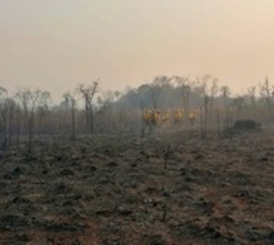 Instan al Ejecutivo a declarar emergencia nacional ante incendios - Paraguay.com