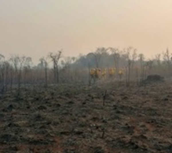 Instan al Ejecutivo a declarar emergencia nacional ante incendios - Paraguay.com