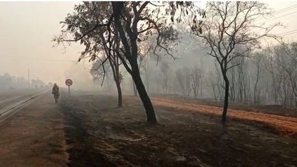 Bomberos instan a la ciudadanía a no quemar las basuras