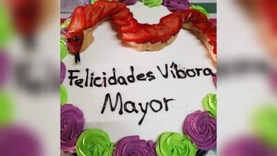 "Felicidades, víbora mayor": la llamativa torta que regalaron a una joven