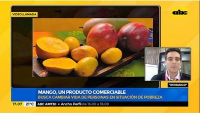 Mango, un producto comerciable - Factor Clave - ABC Color