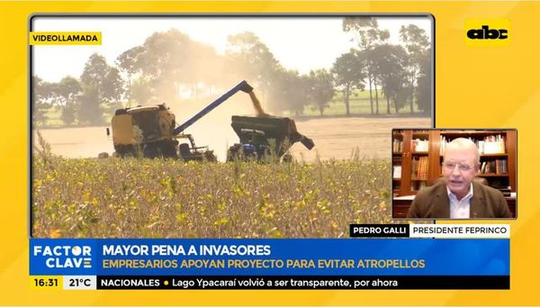 Mayor pena a invasores: empresarios apoyan proyecto para evitar atropellos - Factor Clave - ABC Color