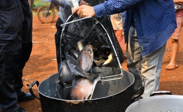Entregan 200 kilos de peces a comunidades indígenas