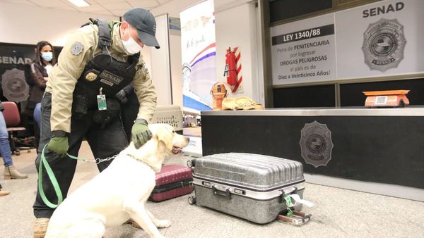 Can antidroga detecta cocaína en el Aeropuerto Silvio Pettirossi