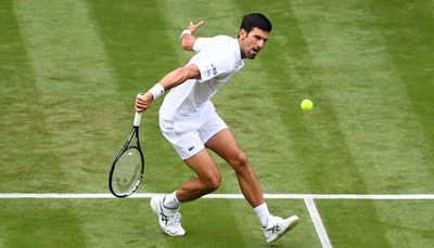 Djokovic podría enfrentar a Berrettini y Zverev camino a la final del US Open