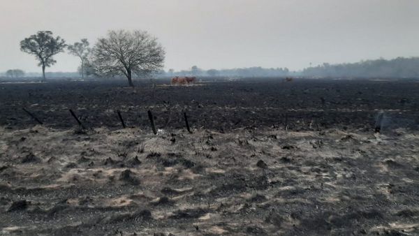 Ganaderos analizan daños que dejaron los incendios