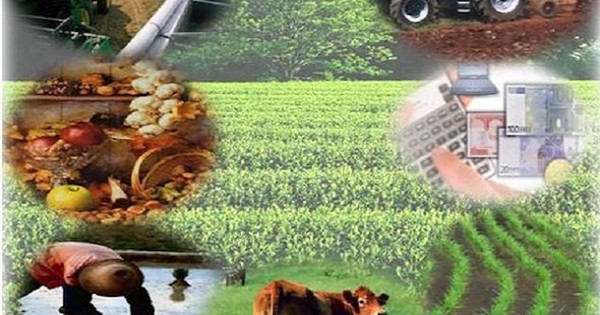 La Nación / Destacan el potencial de crecimiento productivo