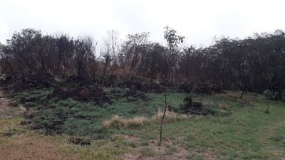 Lluvias sofocan últimos focos de incendio en Parque Nacional Cerro Corá