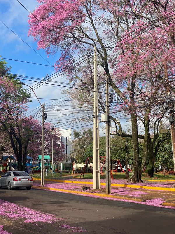 EL CLIMA SE MANTENDRÁ FRÍO ESTE VIERNES Y CON LLUVIAS EN EL NORTE