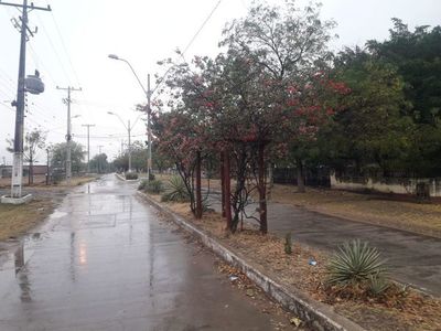 Aguardan lluvia en el Alto Chaco - Nacionales - ABC Color