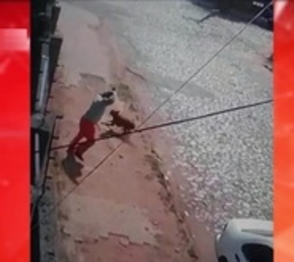 Maltrato animal: Hombre ataca a un perro con una piedra - Paraguay.com