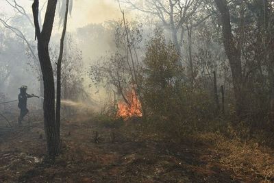 Ruegan aprovechar “calma” con incendios y no quemar predios ni basuras  - Nacionales - ABC Color