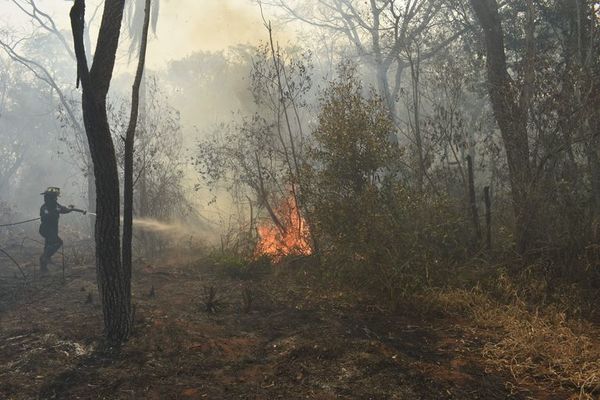 Ruegan aprovechar “calma” con incendios y no quemar predios ni basuras - Nacionales - ABC Color