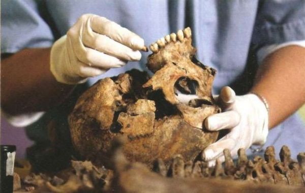 El ADN de un esqueleto encontrado en Indonesia revela un grupo desconocido de humanos