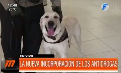 "Sora", la nueva incorporación de los antidrogas | Telefuturo
