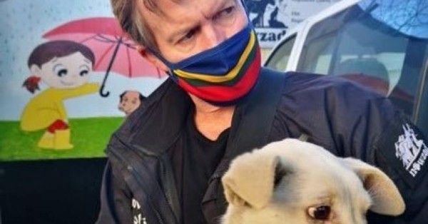 Exmarine británico consigue permiso para evacuar de Kabul a los 200 perros y gatos de su refugio - C9N