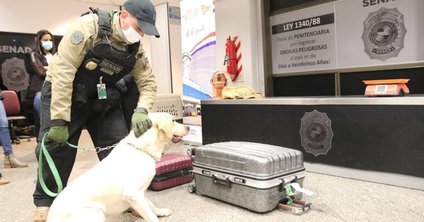 La Nación / Mujer fue detenida en el Silvio Pettirossi con cocaína oculta en su maleta