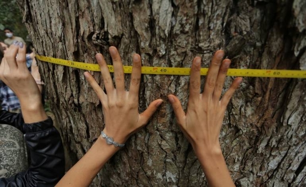 Diario HOY | Este fin de semana se realiza la tercera expedición de los “Colosos de la Tierra”