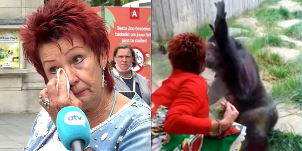 ¡La locura sobrepasa niveles! Una mujer sostiene un romance con un chimpancé