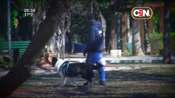 Pasea perros y fomenta tenencia responsable - SNT